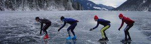 Lame Clip-On Nordic Maple Chrome 3 Nordic skaters