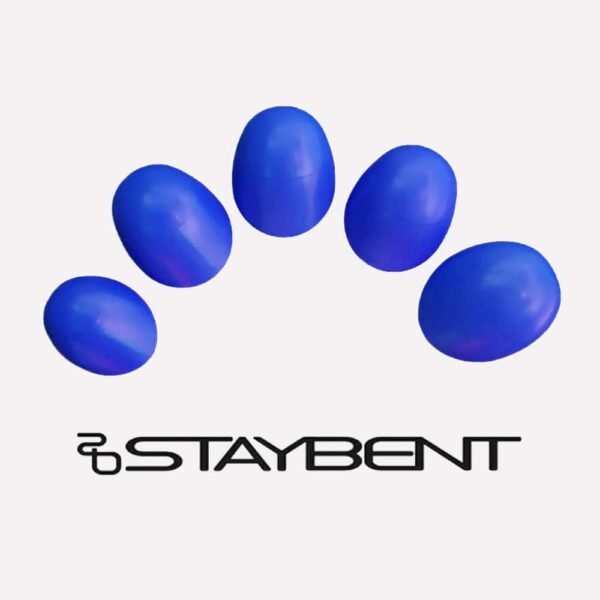 STAYBENT Conseils Rapides 1 STAYBENT Conseils rapides