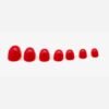 skate-tec quick tips RED