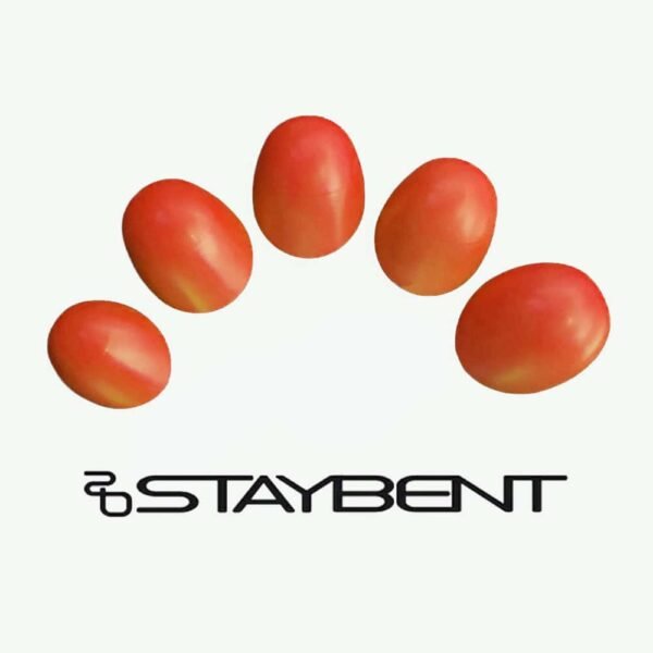STAYBENT Conseils Rapides 4 STAYBENT Quick Tips