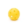 Pickleball Paddle Set